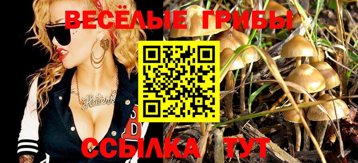 Йошкар-Ола  где продают наркотики  Вход с VPN  Псилоцибиновые грибы прущие грибы  Псилоцибиновые грибы GOLDEN TEACHER 
